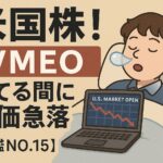 【VMEOヴィメオ】ヴィメオ株で爆損！寝てる間に資産蒸発した米国株トレードの教訓【図鑑NO.15】