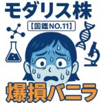 【4883モダリス】バイオ株の高値掴みで爆損！一瞬で14万円失った私のやらかし記録【図鑑NO.11】